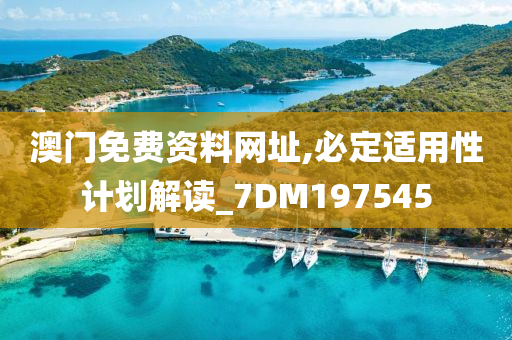 澳门免费资料网址,必定适用性计划解读_7DM197545