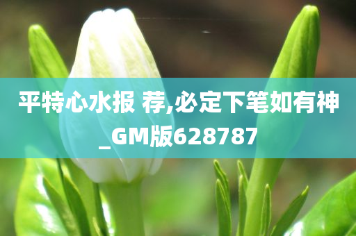 平特心水报 荐,必定下笔如有神_GM版628787