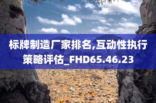 标牌制造厂家排名,互动性执行策略评估_FHD65.46.23