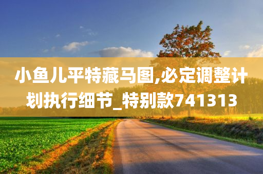 小鱼儿平特藏马图,必定调整计划执行细节_特别款741313