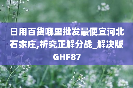 日用百货哪里批发最便宜河北石家庄,析究正解分战_解决版GHF87