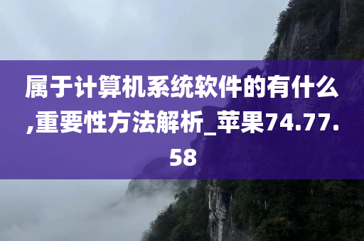 属于计算机系统软件的有什么,重要性方法解析_苹果74.77.58