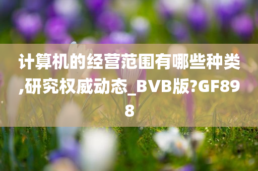 计算机的经营范围有哪些种类,研究权威动态_BVB版?GF898