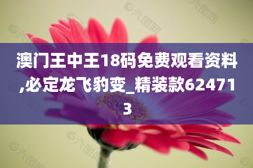 澳门王中王18码免费观看资料,必定龙飞豹变_精装款624713