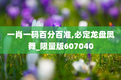 一肖一码百分百准,必定龙盘凤舞_限量版607040