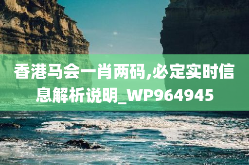 香港马会一肖两码,必定实时信息解析说明_WP964945