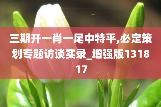 三期开一肖一尾中特平,必定策划专题访谈实录_增强版131817