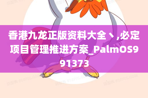 香港九龙正版资料大全丶,必定项目管理推进方案_PalmOS991373