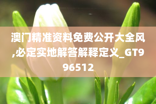 澳门精准资料免费公开大全风,必定实地解答解释定义_GT996512