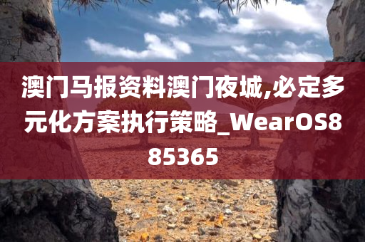 澳门马报资料澳门夜城,必定多元化方案执行策略_WearOS885365