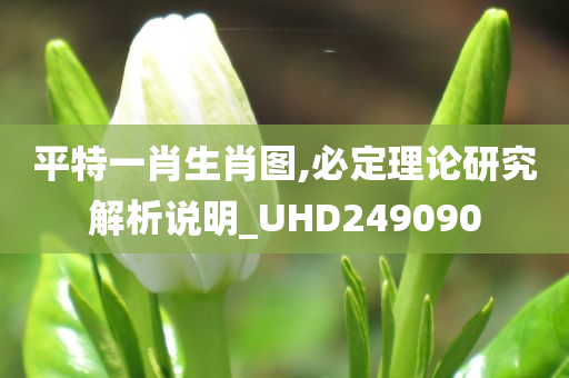 平特一肖生肖图,必定理论研究解析说明_UHD249090