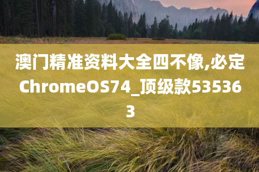 澳门精准资料大全四不像,必定ChromeOS74_顶级款535363