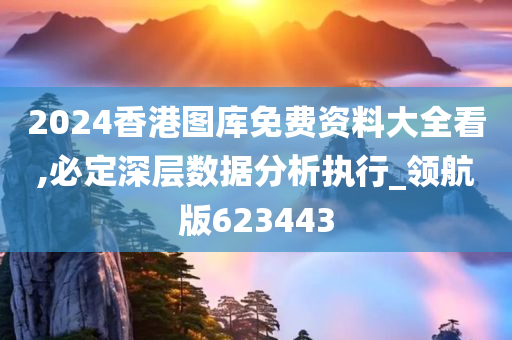 2024香港图库免费资料大全看,必定深层数据分析执行_领航版623443