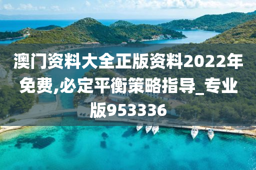 澳门资料大全正版资料2022年免费,必定平衡策略指导_专业版953336