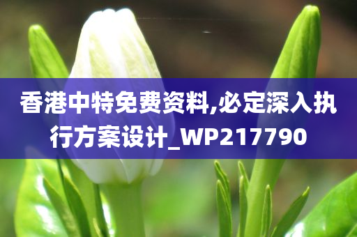 香港中特免费资料,必定深入执行方案设计_WP217790