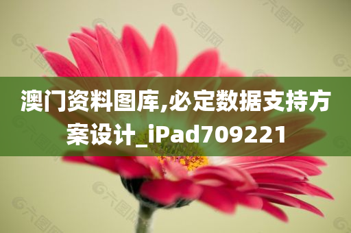 澳门资料图库,必定数据支持方案设计_iPad709221