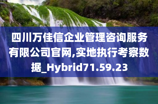 四川万佳信企业管理咨询服务有限公司官网,实地执行考察数据_Hybrid71.59.23