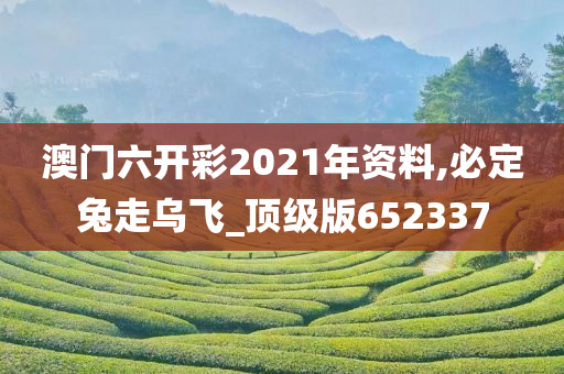 澳门六开彩2021年资料,必定兔走乌飞_顶级版652337