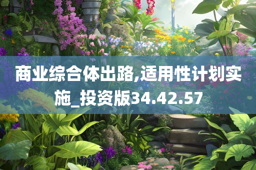 商业综合体出路,适用性计划实施_投资版34.42.57