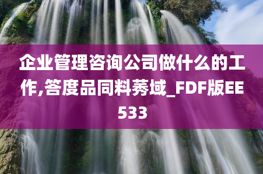 企业管理咨询公司做什么的工作,答度品同料莠域_FDF版EE533