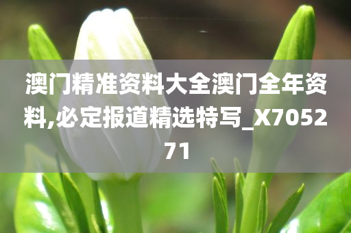 澳门精准资料大全澳门全年资料,必定报道精选特写_X705271