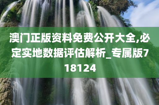 澳门正版资料免费公开大全,必定实地数据评估解析_专属版718124