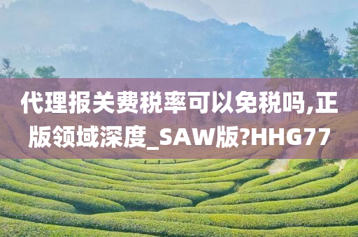 代理报关费税率可以免税吗,正版领域深度_SAW版?HHG77