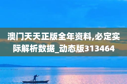 澳门天天正版全年资料,必定实际解析数据_动态版313464