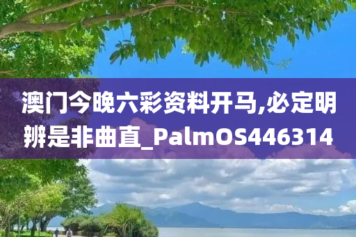 澳门今晚六彩资料开马,必定明辨是非曲直_PalmOS446314