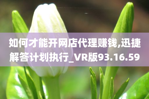 如何才能开网店代理赚钱,迅捷解答计划执行_VR版93.16.59