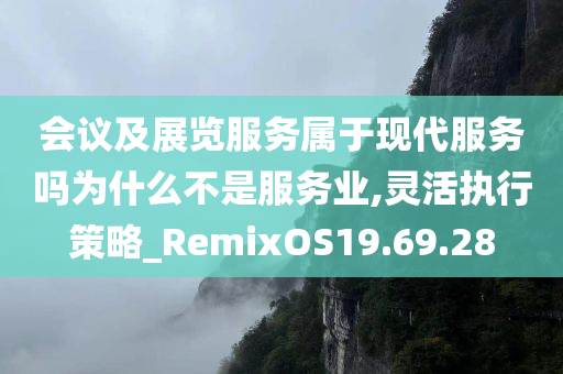 会议及展览服务属于现代服务吗为什么不是服务业,灵活执行策略_RemixOS19.69.28