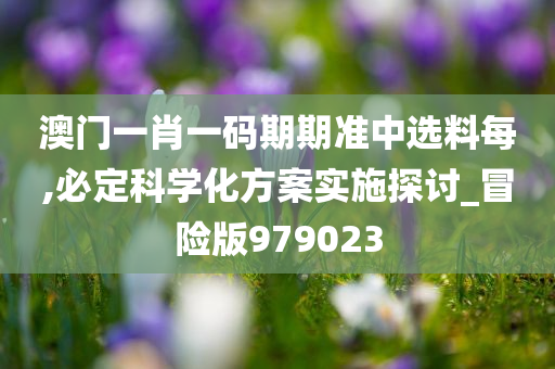 澳门一肖一码期期准中选料每,必定科学化方案实施探讨_冒险版979023