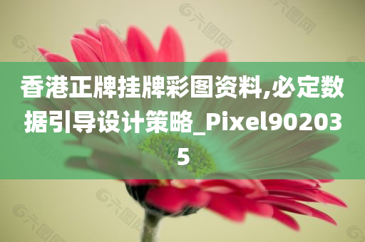 香港正牌挂牌彩图资料,必定数据引导设计策略_Pixel902035