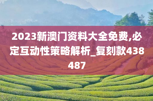 2023新澳门资料大全免费,必定互动性策略解析_复刻款438487