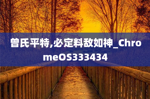 曾氏平特,必定料敌如神_ChromeOS333434