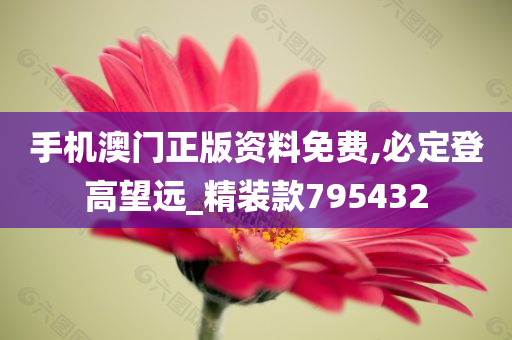 手机澳门正版资料免费,必定登高望远_精装款795432