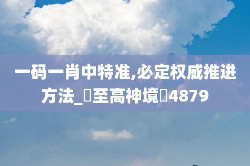 一码一肖中特准,必定权威推进方法_‌至高神境‌4879