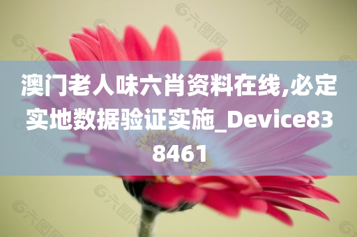 澳门老人味六肖资料在线,必定实地数据验证实施_Device838461