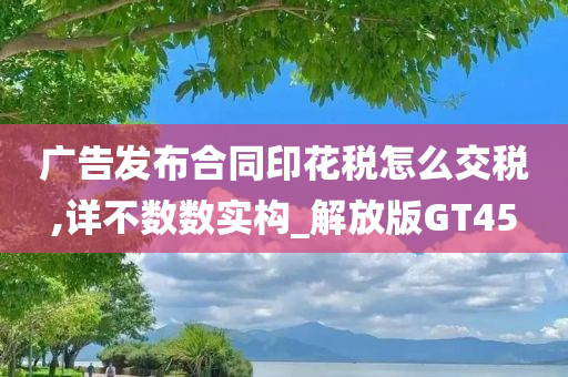 广告发布合同印花税怎么交税,详不数数实构_解放版GT45