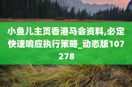 小鱼儿主页香港马会资料,必定快速响应执行策略_动态版107278