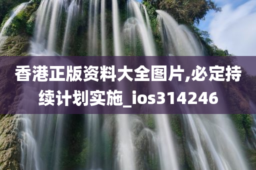 香港正版资料大全图片,必定持续计划实施_ios314246