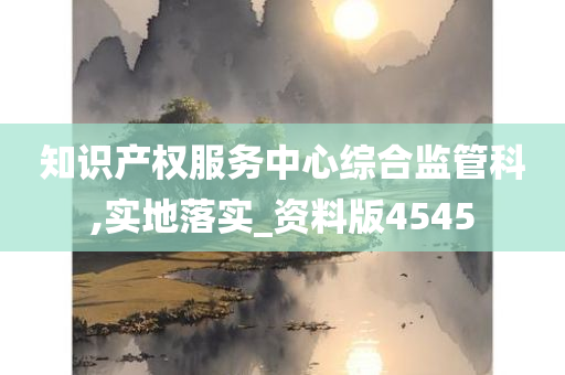 知识产权服务中心综合监管科,实地落实_资料版4545