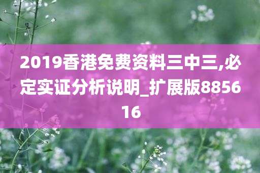 2019香港免费资料三中三,必定实证分析说明_扩展版885616