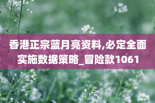 香港正宗蓝月亮资料,必定全面实施数据策略_冒险款1061