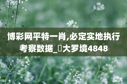 博彩网平特一肖,必定实地执行考察数据_‌大罗境4848