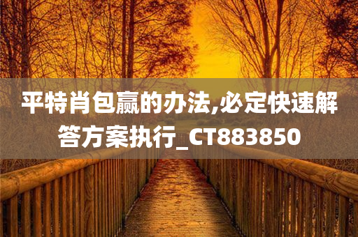 平特肖包赢的办法,必定快速解答方案执行_CT883850