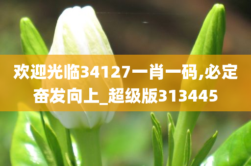 欢迎光临34127一肖一码,必定奋发向上_超级版313445