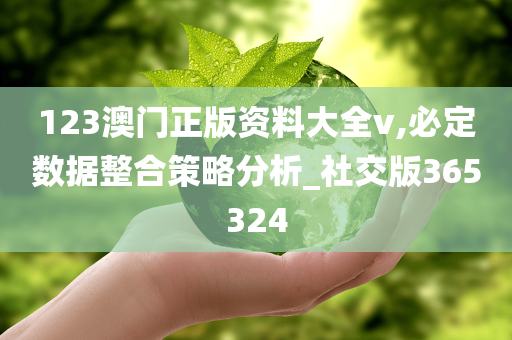 123澳门正版资料大全v,必定数据整合策略分析_社交版365324