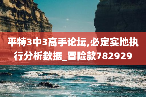 平特3中3高手论坛,必定实地执行分析数据_冒险款782929