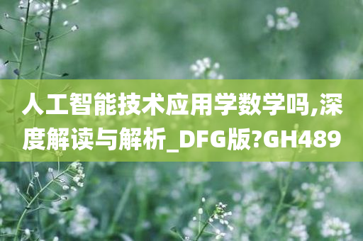 人工智能技术应用学数学吗,深度解读与解析_DFG版?GH489